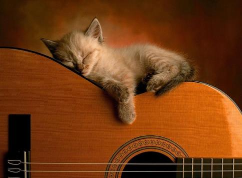Cat Sound Game 12 Apk Game Free Download For Android