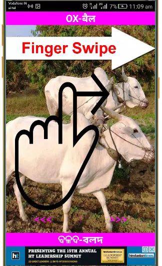 Animal Name App En-Hindi-Odia-Bangla with Spelling APK for Android Download Animal Name App En-Hindi-Odia-Bangla with Spelling APK for Android Download