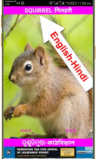 Animal Name App En-Hindi-Odia-Bangla with Spelling APK for Android Download Animal Name App En-Hindi-Odia-Bangla with Spelling APK for Android Download