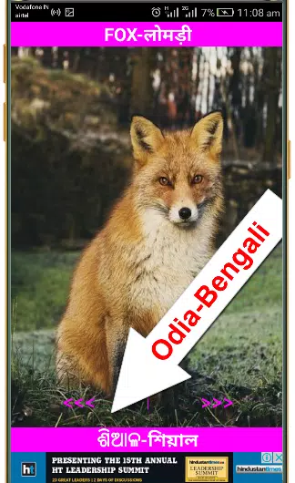 Animal Name App En-Hindi-Odia-Bangla with Spelling APK for Android Download Animal Name App En-Hindi-Odia-Bangla with Spelling APK for Android Download