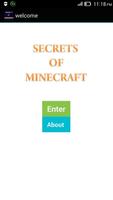 Secrets of Minecraft Affiche