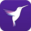 Fly Bird Earning-APK