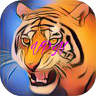 Tiger VPN Reseller icône