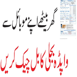 Kpk Bill Online chack