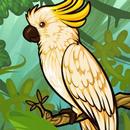 Coloring Bird For Kids APK