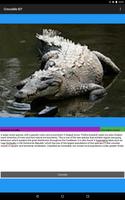 Crocodile ID 截图 1