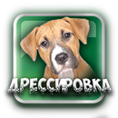 Дрессировка Собак Воспитание Б APK