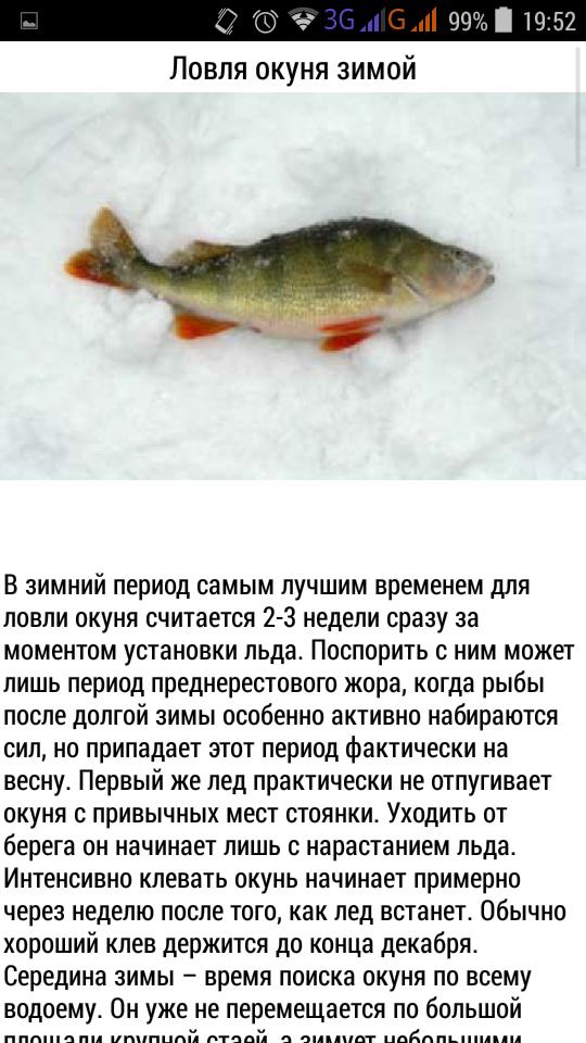Какое атмосферное давление лучше всего подходит для рыбалки