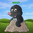 Moley APK