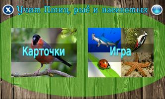 Учим Птиц, рыб и насекомых Affiche