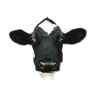 Moo Moo Too icon