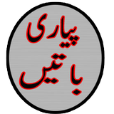 Quotes in urdu icône