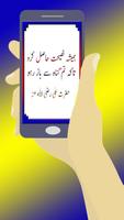Hazrat Ali ke Aqwal تصوير الشاشة 1