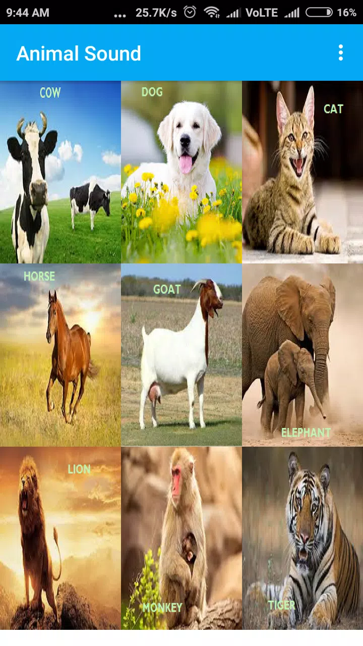 100+ Animal Sounds for Kids APK for Android Download 100+ Animal Sounds for Kids APK for Android Download