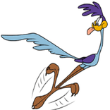 Road Runner Meep