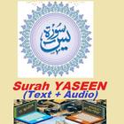Surah Yaseen with Arabic Audio アイコン