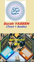 Surah Yaseen with Arabic Audio ポスター
