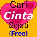 Cari Cinta Sejati (Free) APK