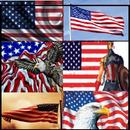 America Flag HD Wallpapers aplikacja