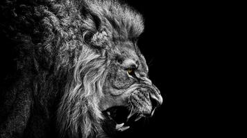 2 Schermata 2018 Wallpapers Roaring Lion