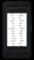 Dictionary English Hindi Affiche