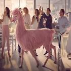 Crazy Pink Llama dancing icône