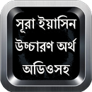 Surah Yasin সূরা ইয়াসিন উচ্চারণ বাংলা অর্থসহ অডিও APK