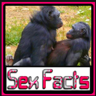 Animal Sex Facts biểu tượng