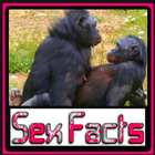 Animal Sex Facts icône
