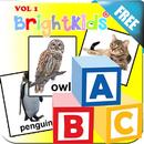 Brightkids Children English Flashcard Vol 1 Free APK