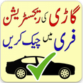 Online Vehicle Verification