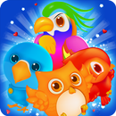 Bird Paradise - Match 3 APK