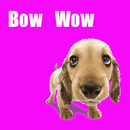 반려견-강아지,애완견 APK