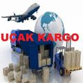 Uçak Kargo