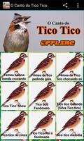 O Canto do Tico Tico imagem de tela 1