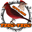 Tico Tico Canto do Cemitério APK