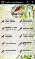 Tico Tico Canto Mariquinha ภาพหน้าจอ 1