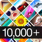 10000+ Wallpapers & Backgrounds icon