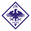 DJK Falke Nbg Zeichen