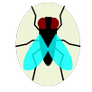 APK Bug Bug