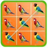 Tic Tac Toe - Cute Birds