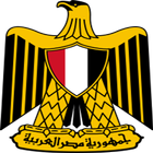 دستور مصر icône