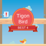 Tigon Bird icône