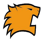 Tiger Group 圖標