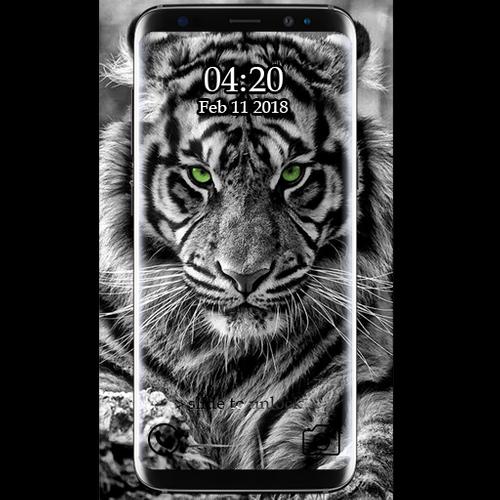 Black Tiger 3d Wallpaper Download Image Num 18