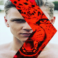 The Face Of The Red Tiger