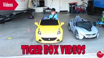 Tiger Box Videos imagem de tela 2