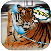 Tiger Caller icon