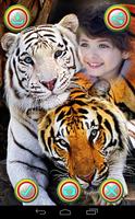 Tiger Photo Frame captura de pantalla 3