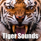 Tiger Sounds icône